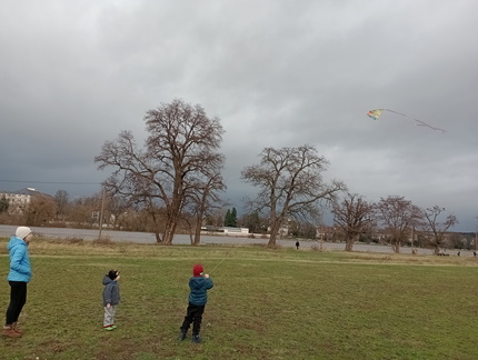 IMG 20231226 112210273 MFNR