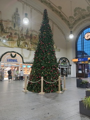 IMG 20231117 071400467 HDR